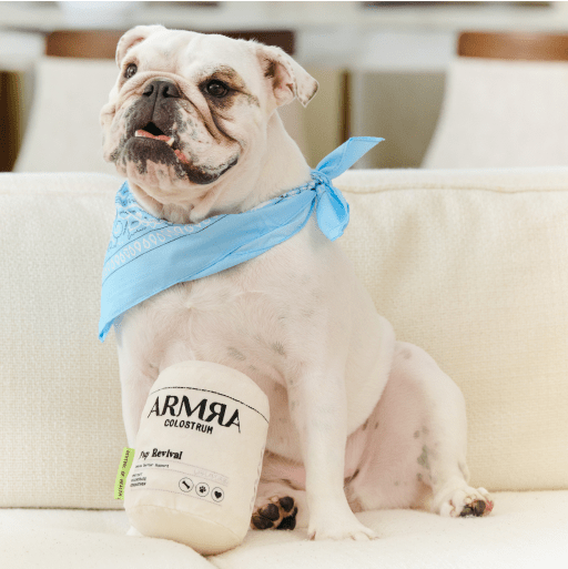 Pup Revival Dog Toy