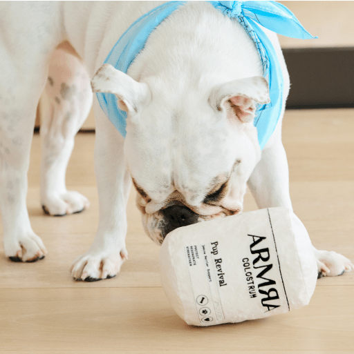 Pup Revival Dog Toy